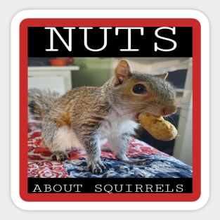 NUTS ABOUT SQUIRRELS Sticker